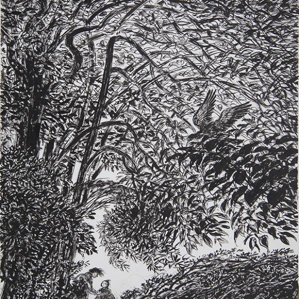 Después de la lluvia 